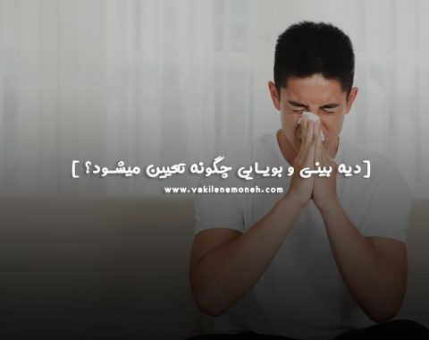 دیه شکستگی بینی